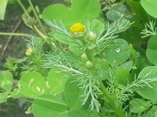 20140619_143302.jpg
