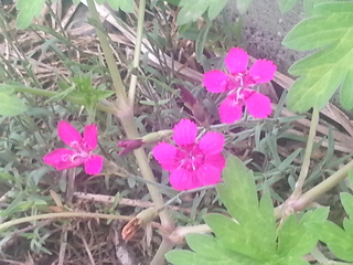 20140619_143351.jpg