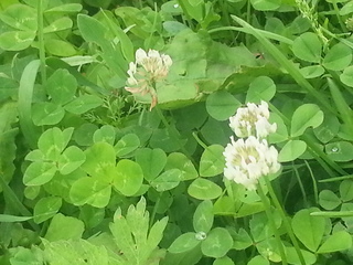 20140619_143403.jpg