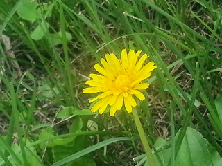 20140619_143417.jpg