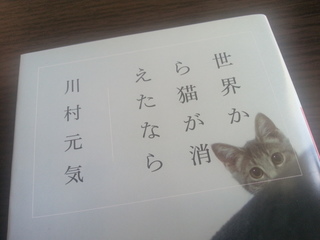 20150313_123042.jpg